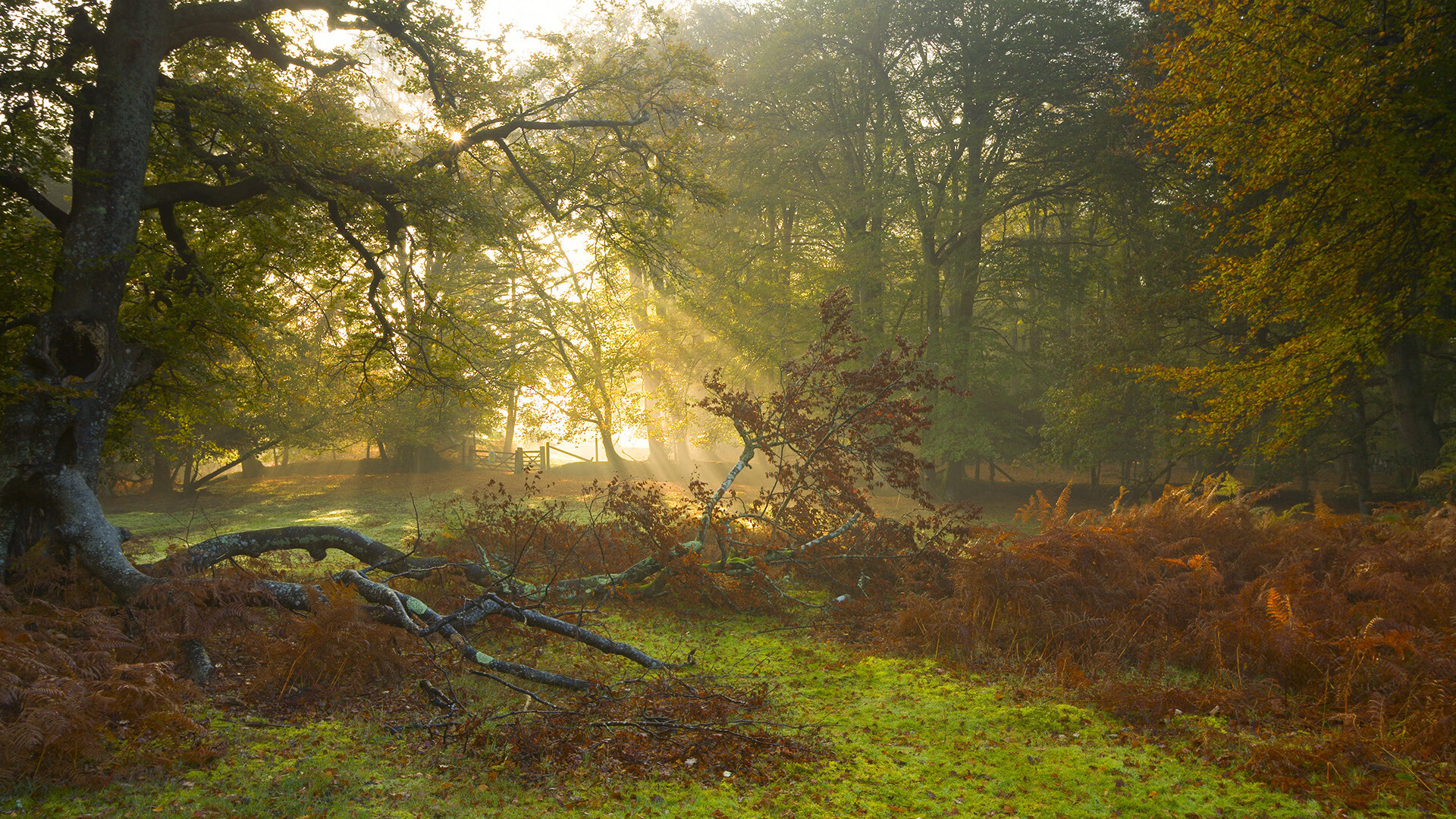 新闻中心公布技术研发成果,新技术成果展示