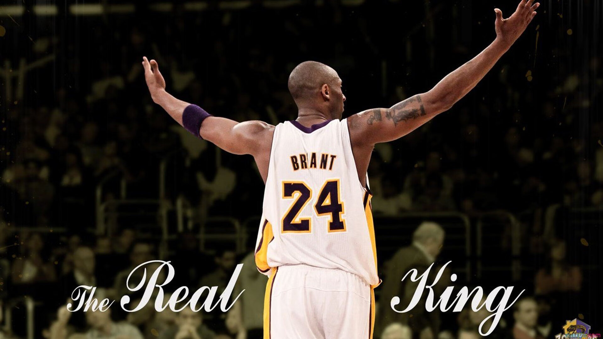 F1史上首次!争冠三人最终积分或打平,维斯塔潘需包揽剩余冠军!